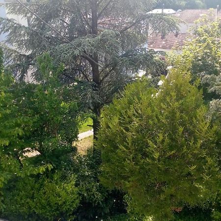 Villa Arc En Ciel Et Cle Des Champs Contrexéville Kültér fotó