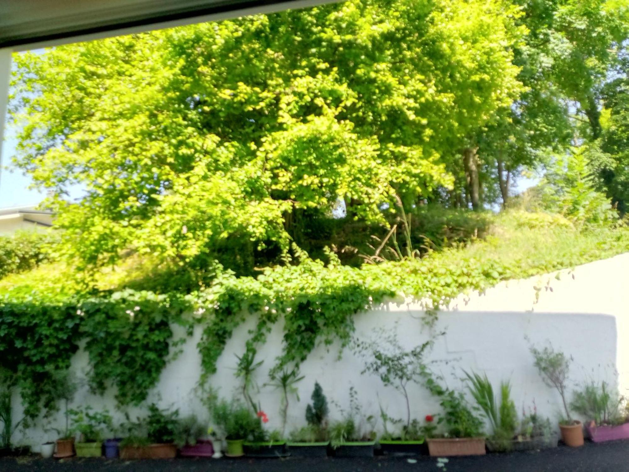 Villa Arc En Ciel Et Cle Des Champs Contrexéville Kültér fotó